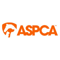 Featured Nonprofits